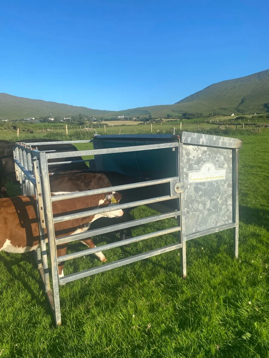Cashel Calf Creep Feeder - Image 3
