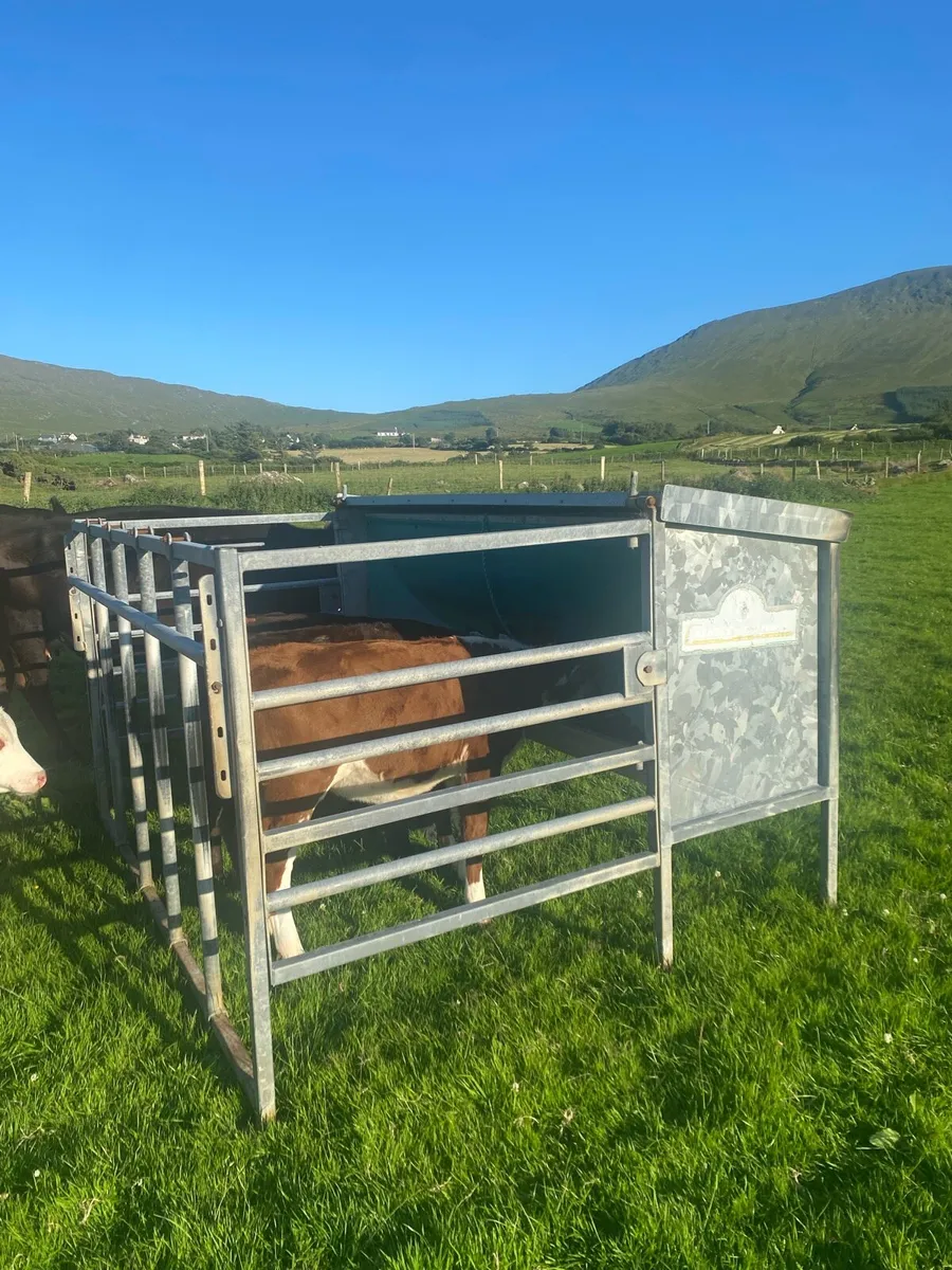Cashel Calf Creep Feeder - Image 1