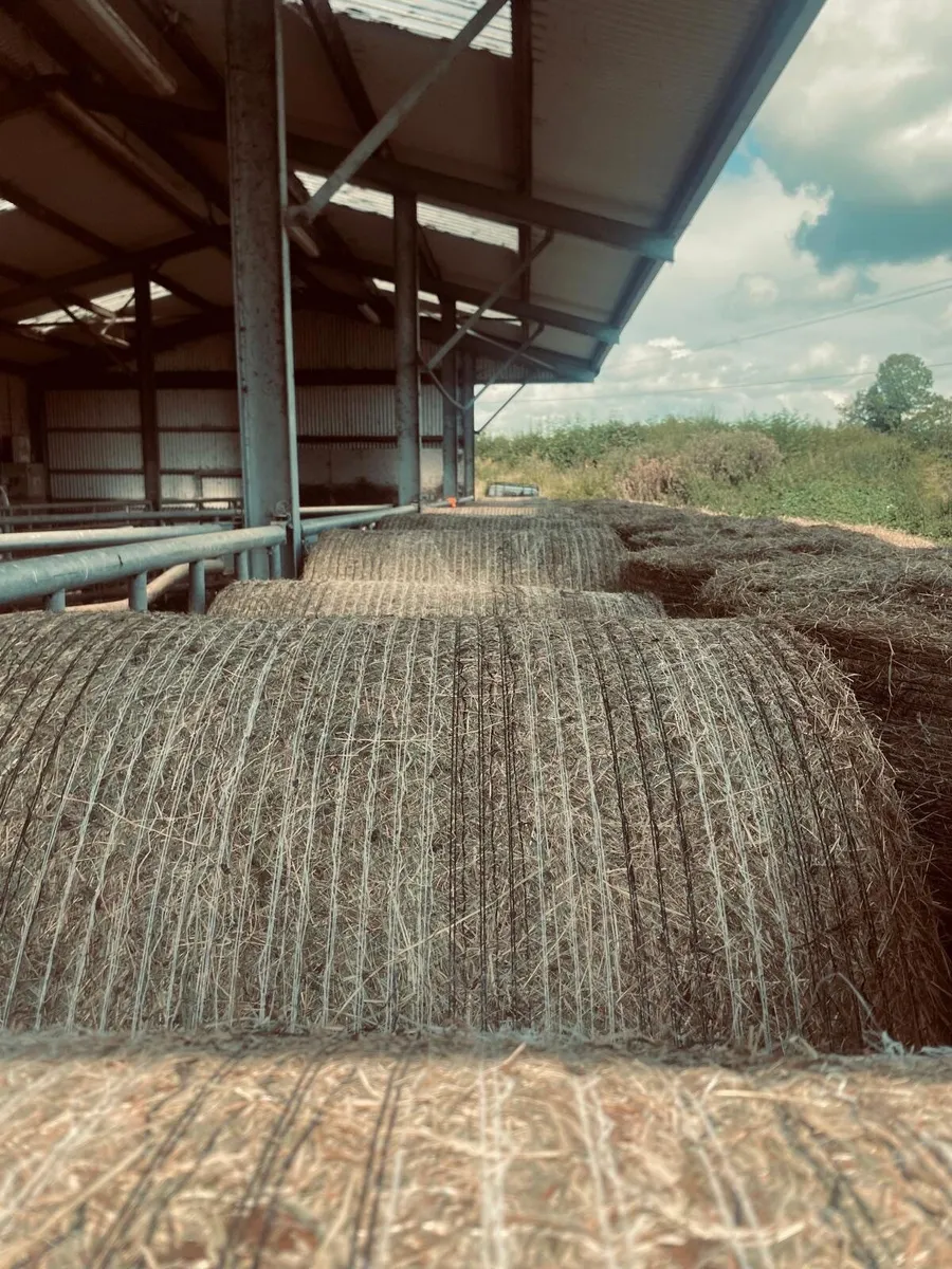 Organic Hay - Image 1