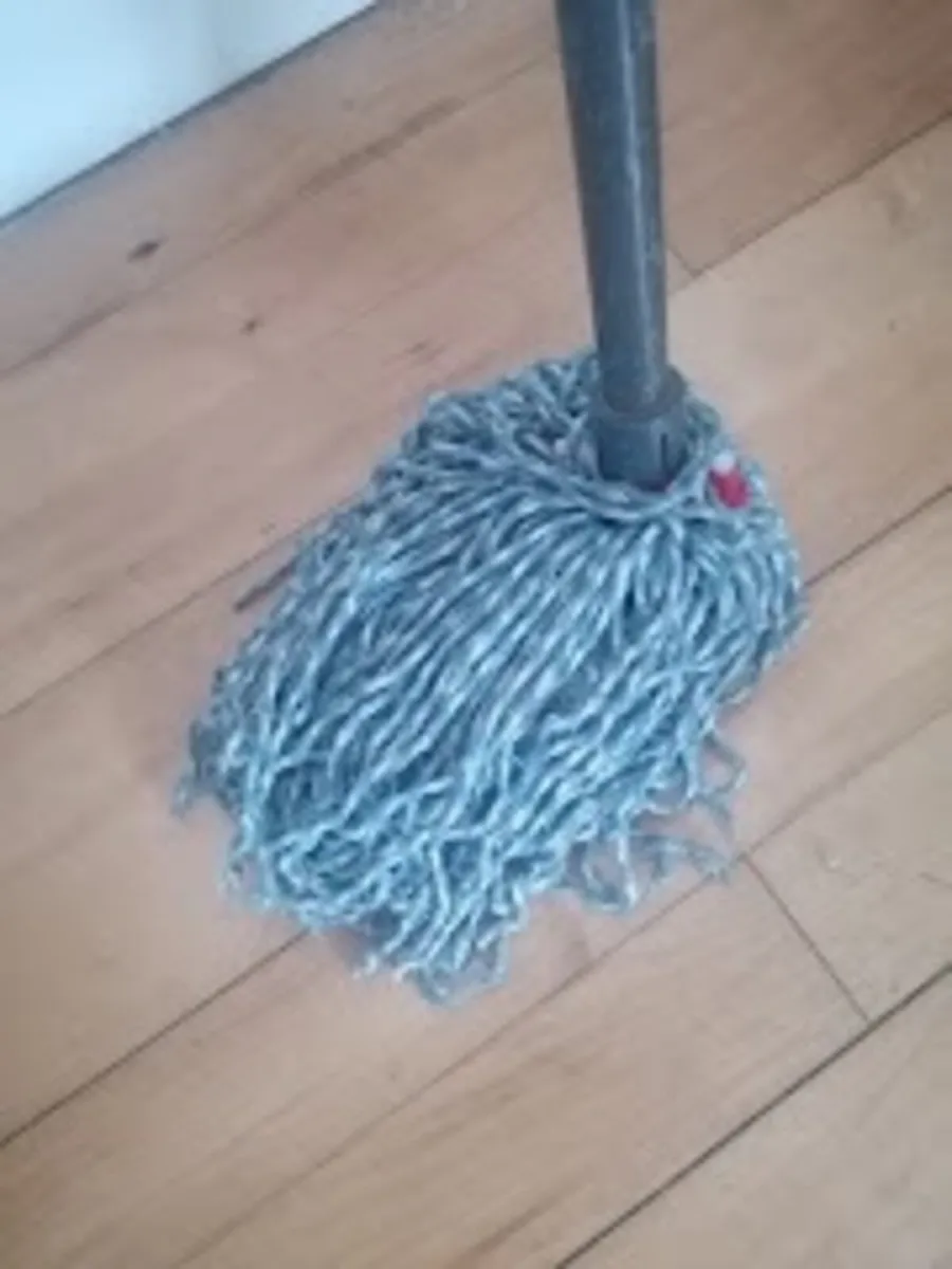 Bucket, telescopic handle and mop - Image 3