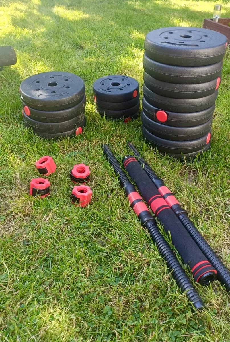 Weights & Workout Bench - Image 1
