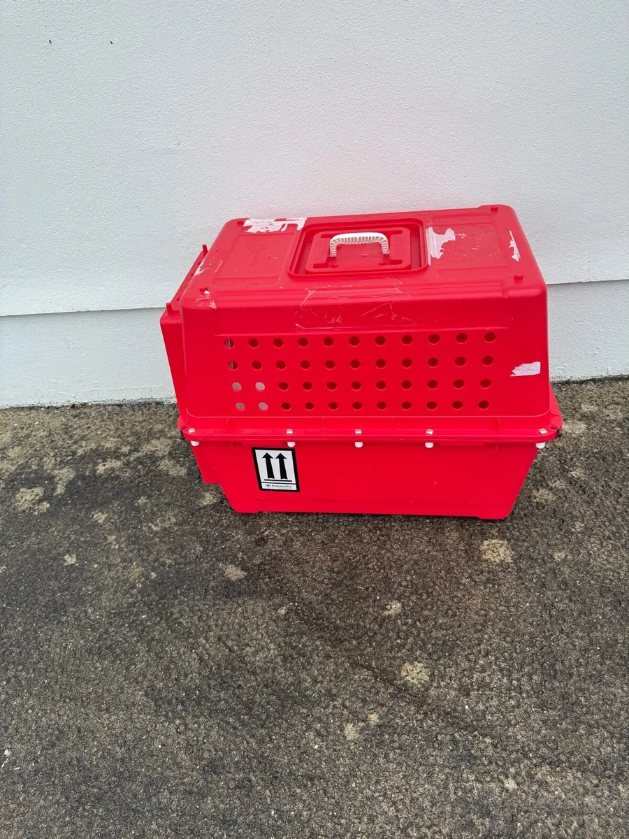 Dog Travel Crate - Image 1