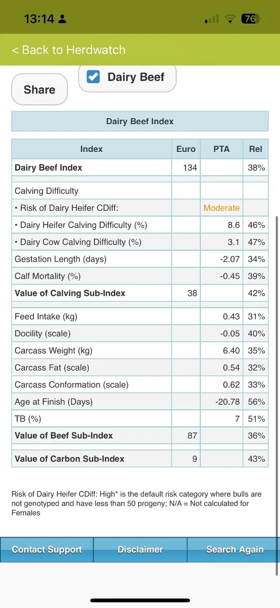 Pedigree Angus bull for sale - Image 4
