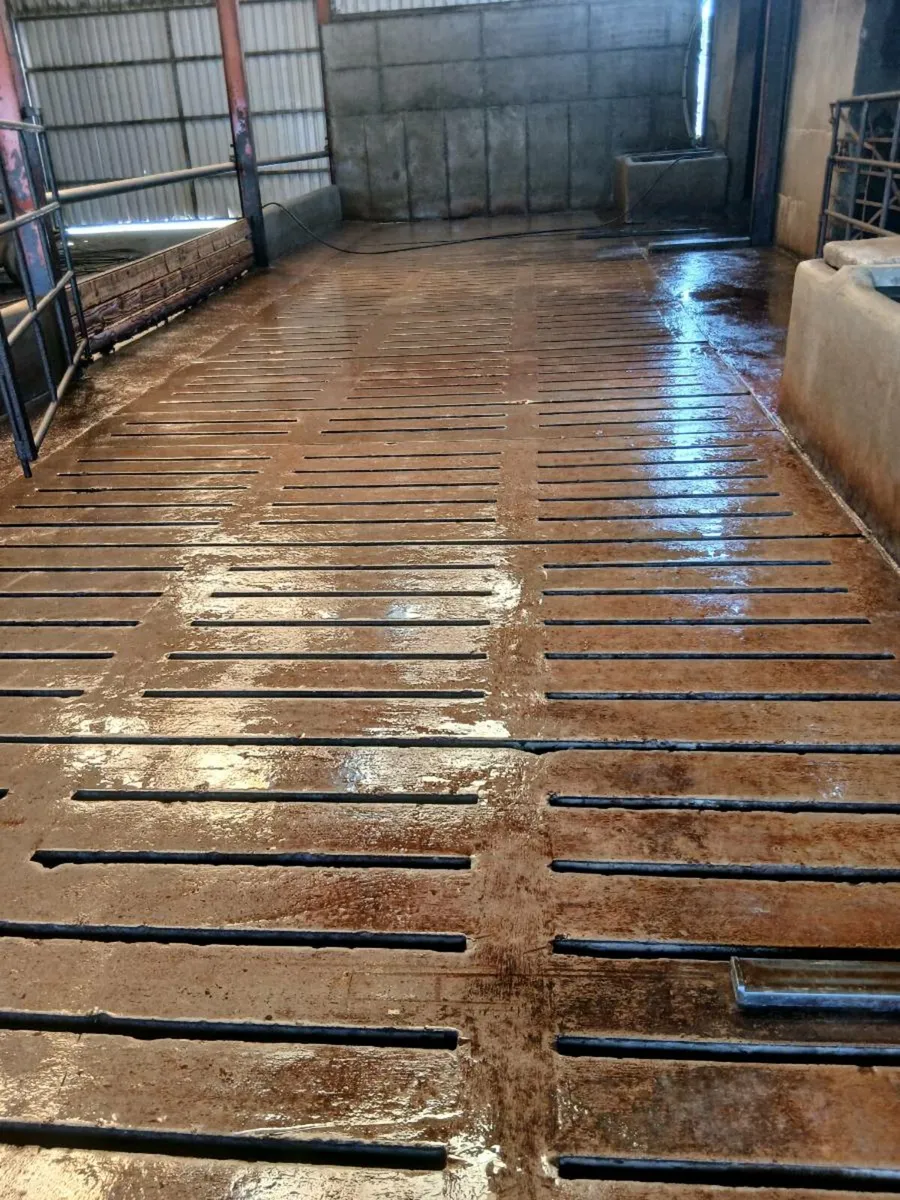 Power washing service - Image 1