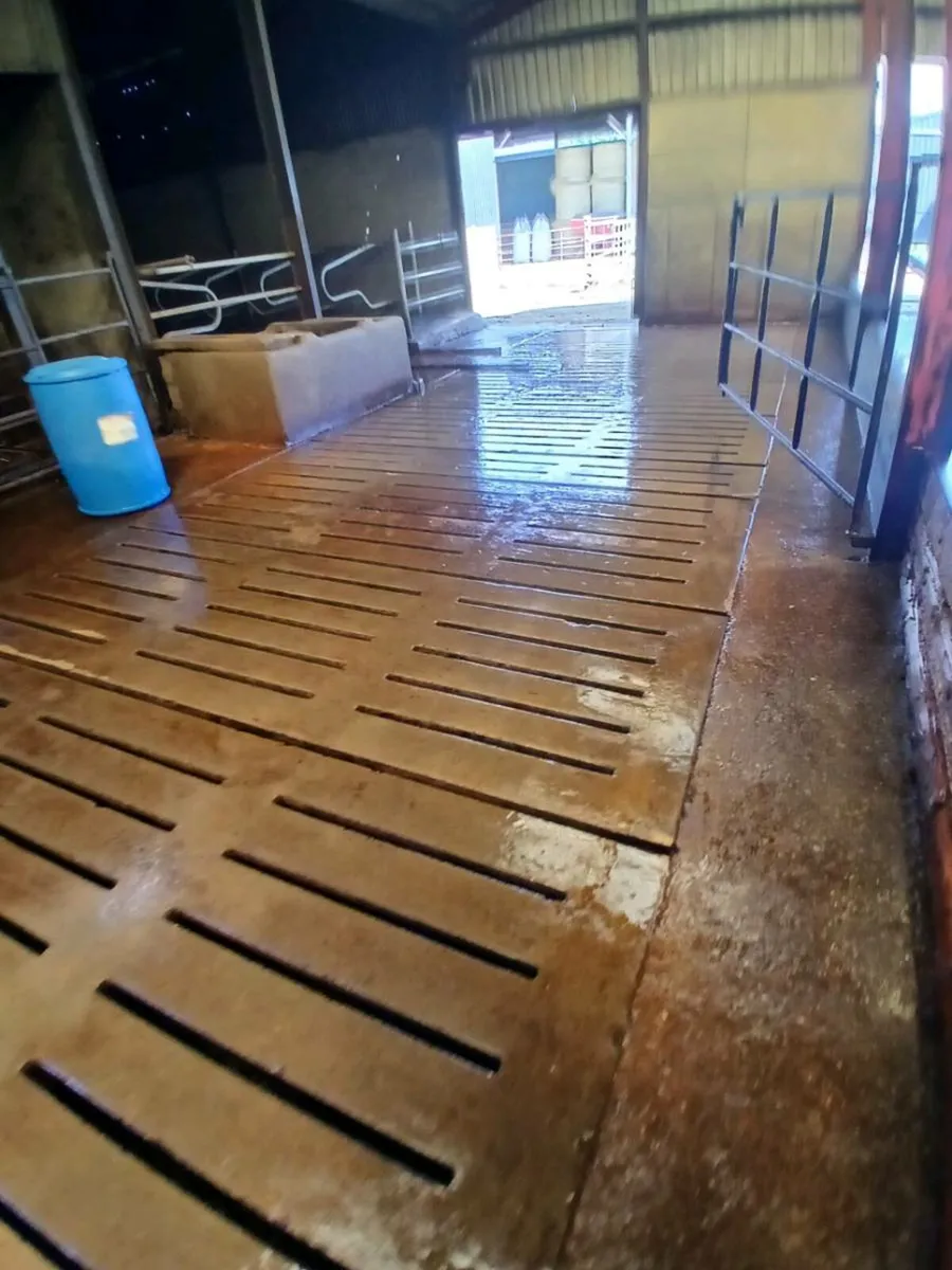 Power washing service - Image 2