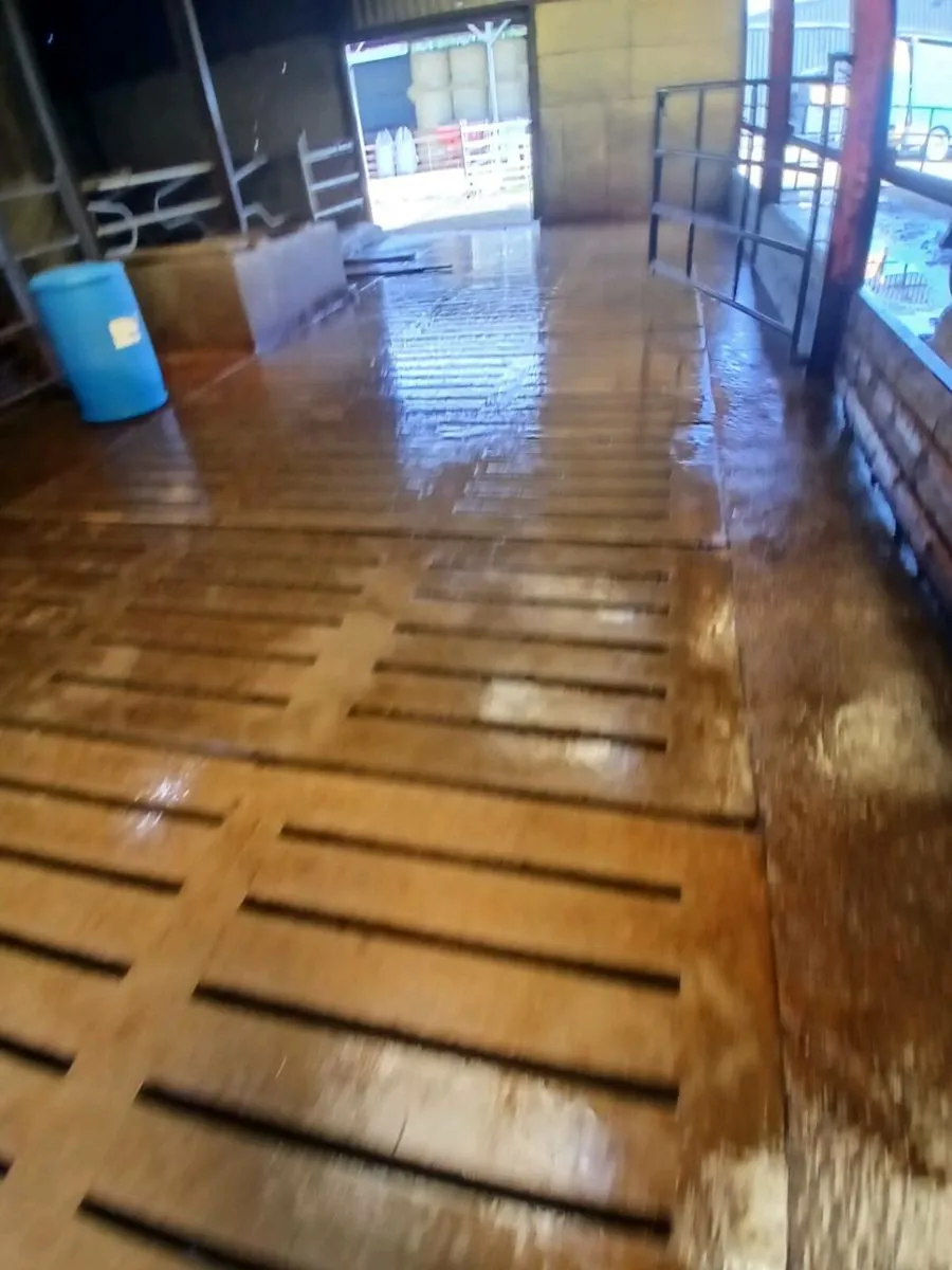 Power washing service - Image 3