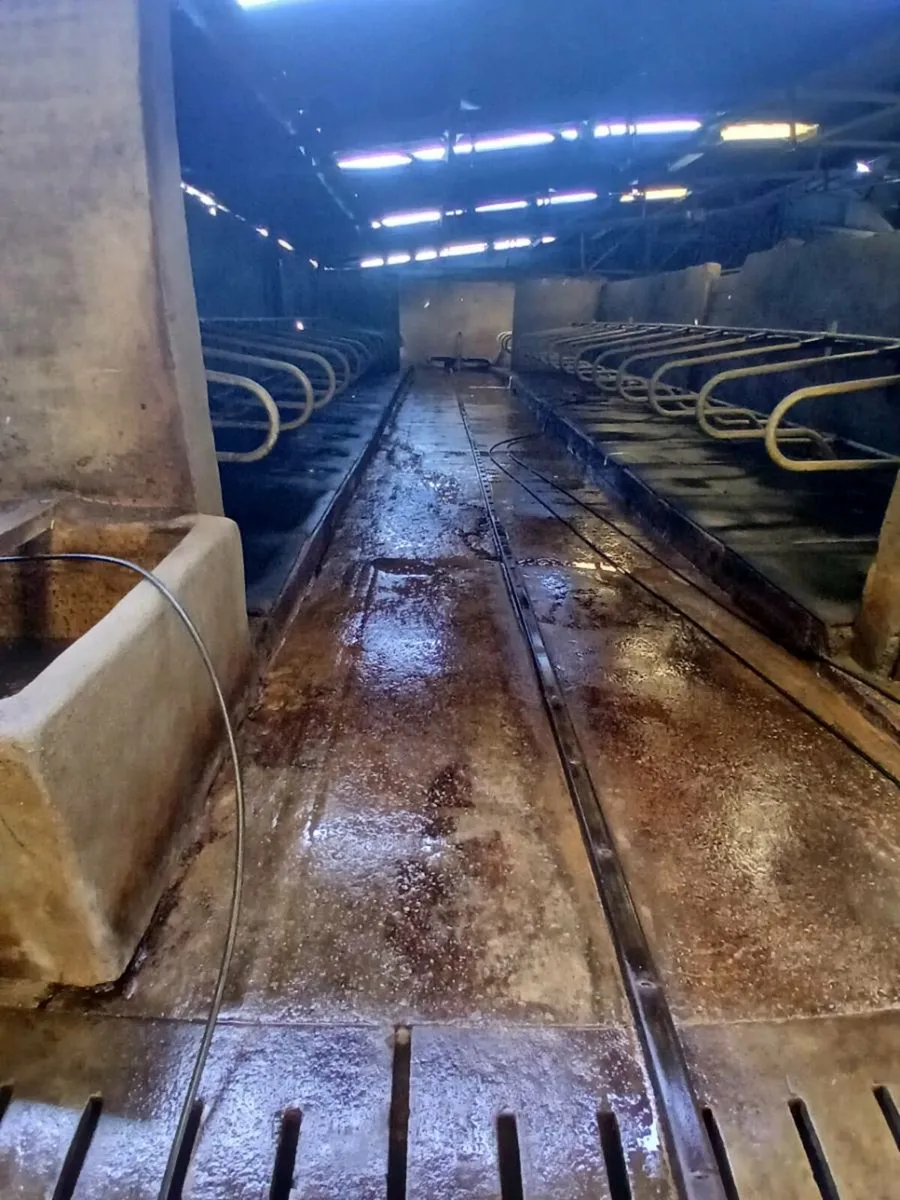 Power washing service - Image 4