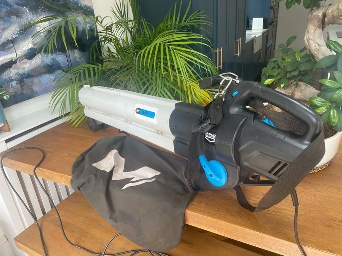 Leaf Blower - Image 1