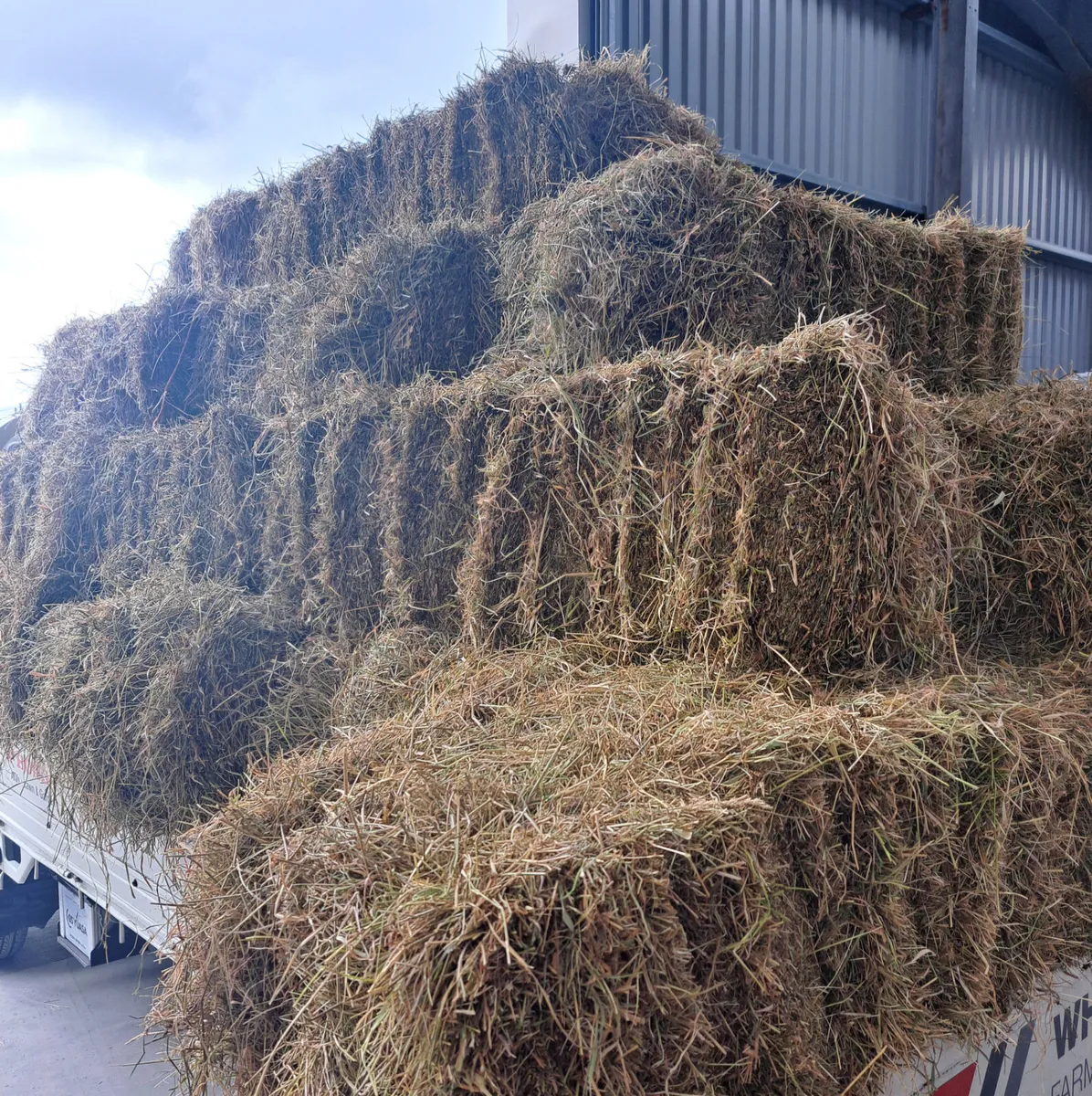 HAY BALES - Image 1