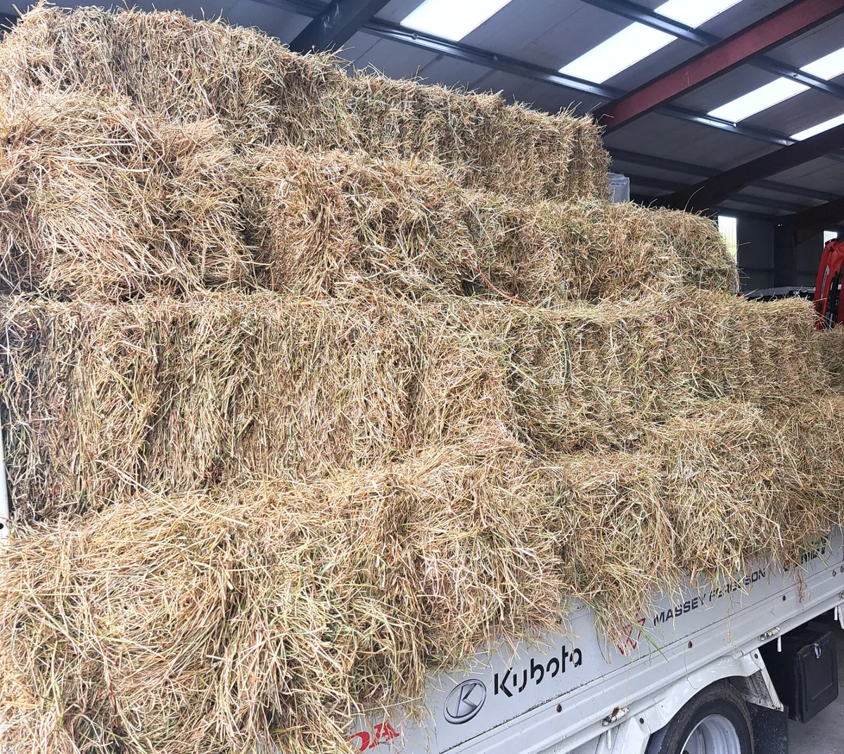 HAY BALES - Image 2