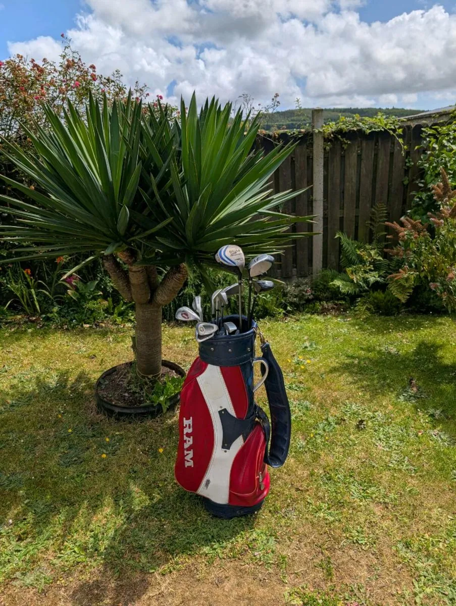 Ram Golf clubs & ram bag need gone - Image 1