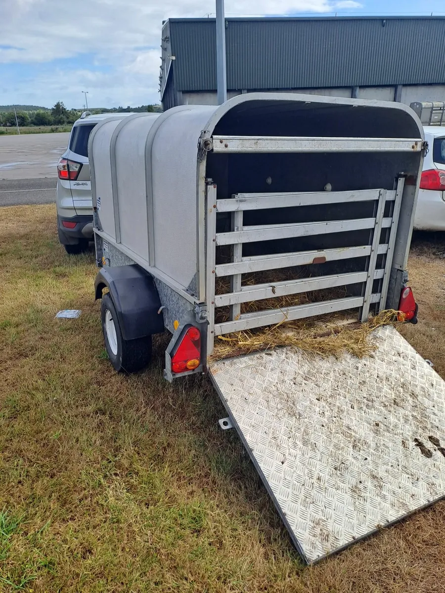 Canopy  trailer/ sheep, calf or quad trailer - Image 2