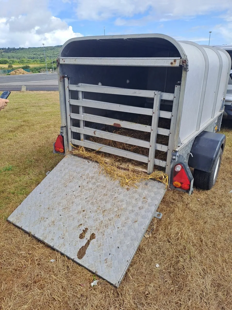 Canopy  trailer/ sheep, calf or quad trailer - Image 3