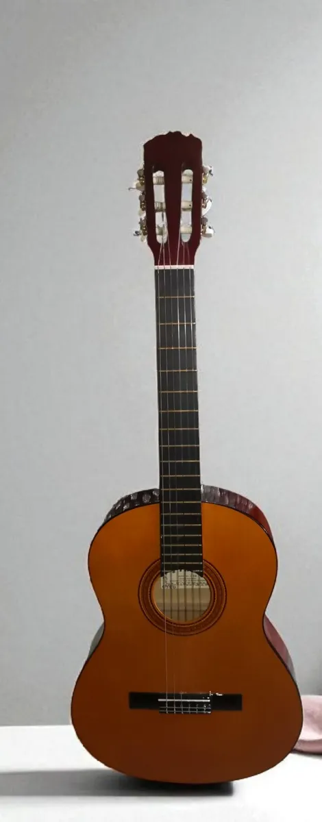 Prince C425 acoustic guitar - Image 1