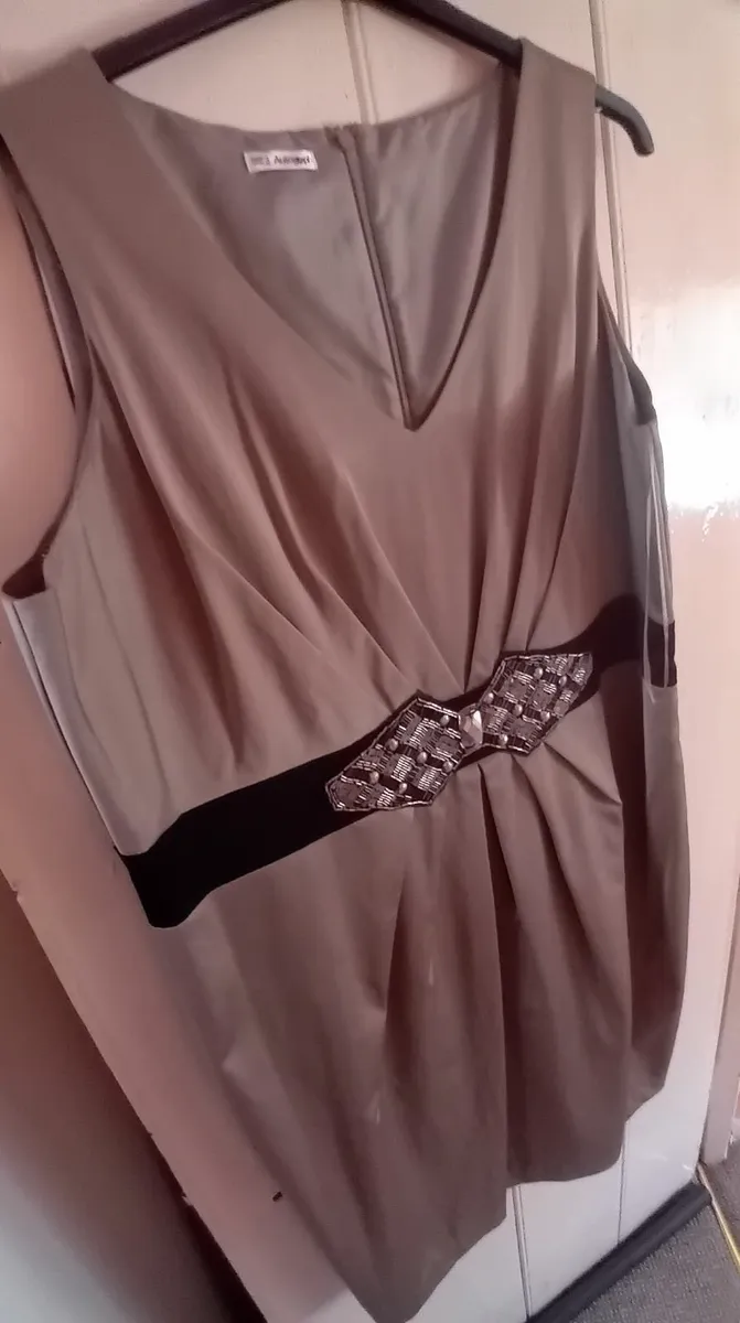 Beautiful dress never worn for occasions - Image 1