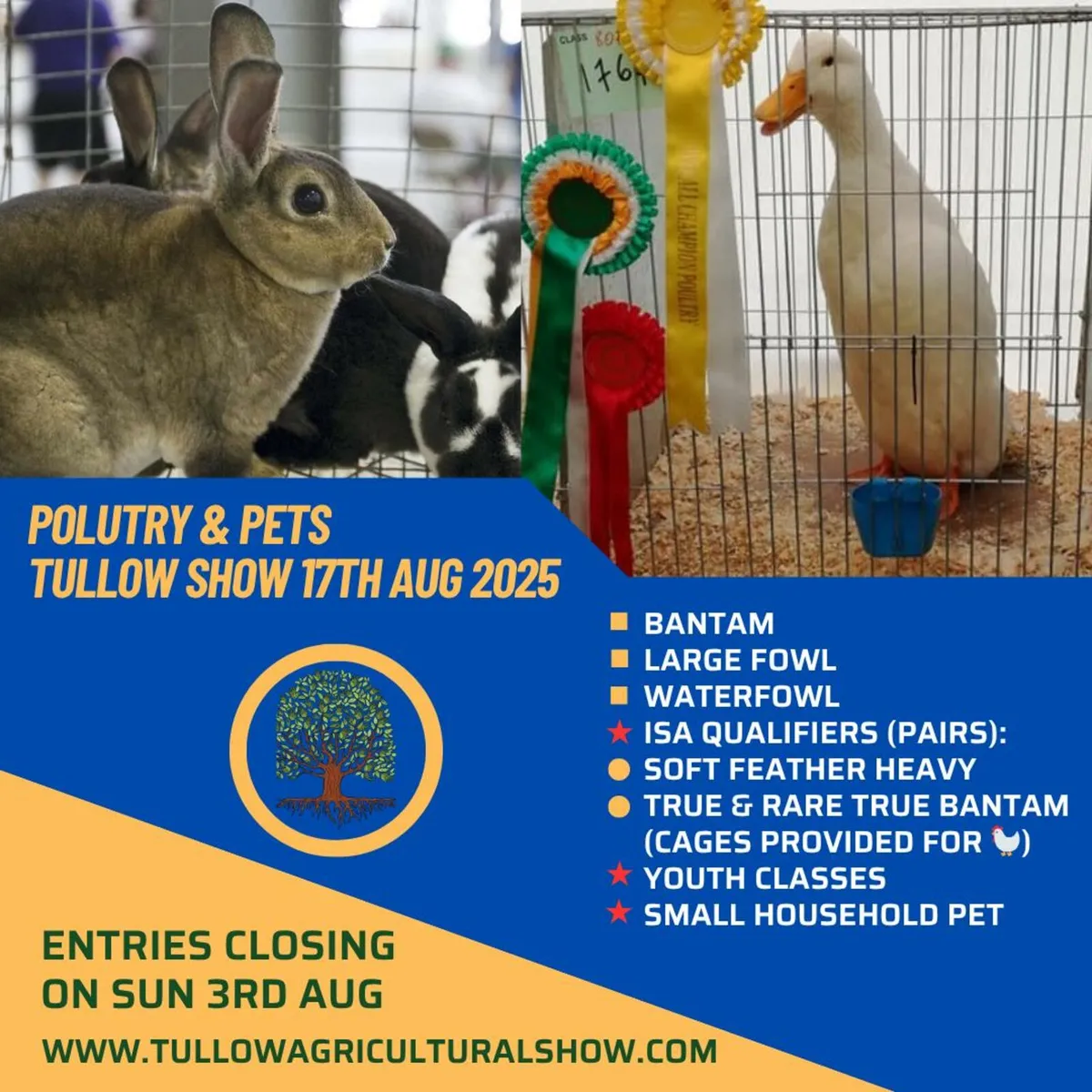 Tullow Agricultural Show