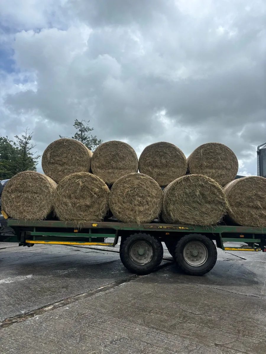 100 bales of top quality organic hay - Image 1