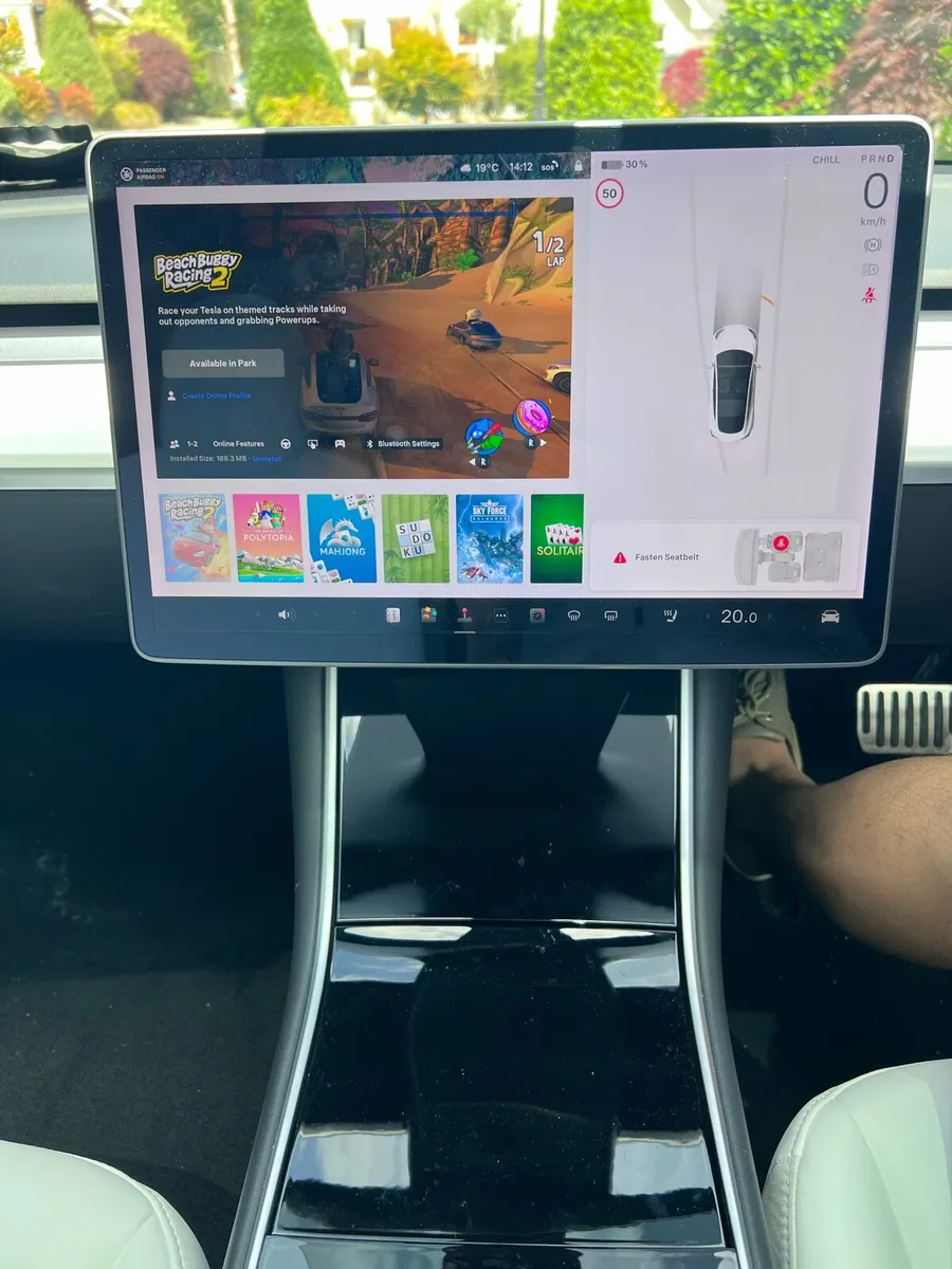Tesla Model 3 2020 SR+ - Image 4