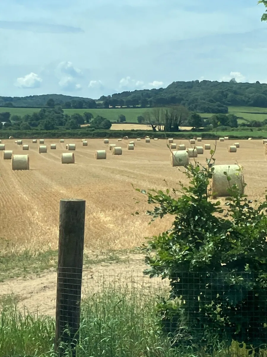Straw