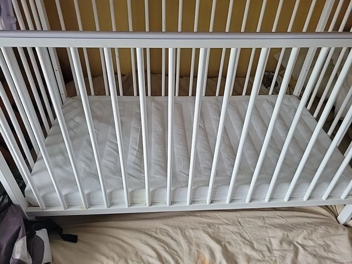 cot and bouncer - Image 2