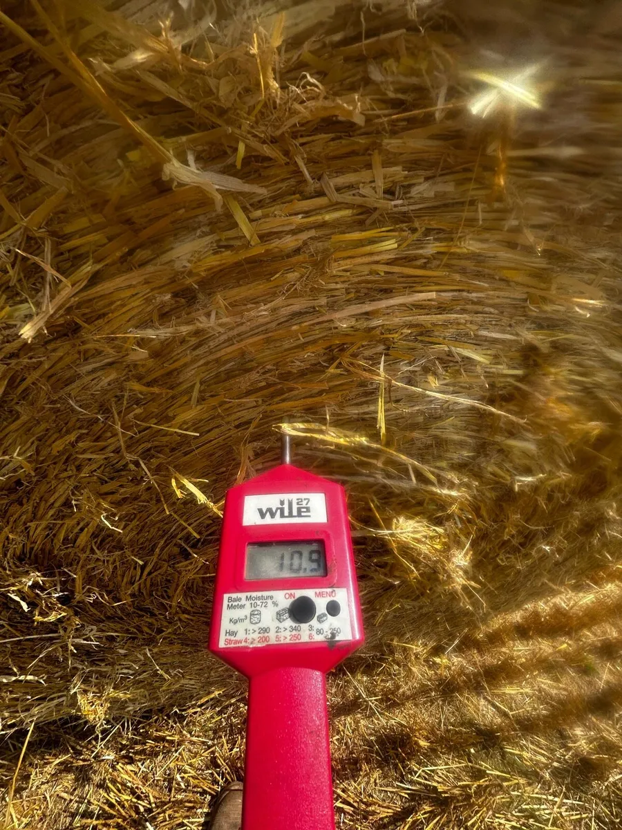 Straw - Image 3