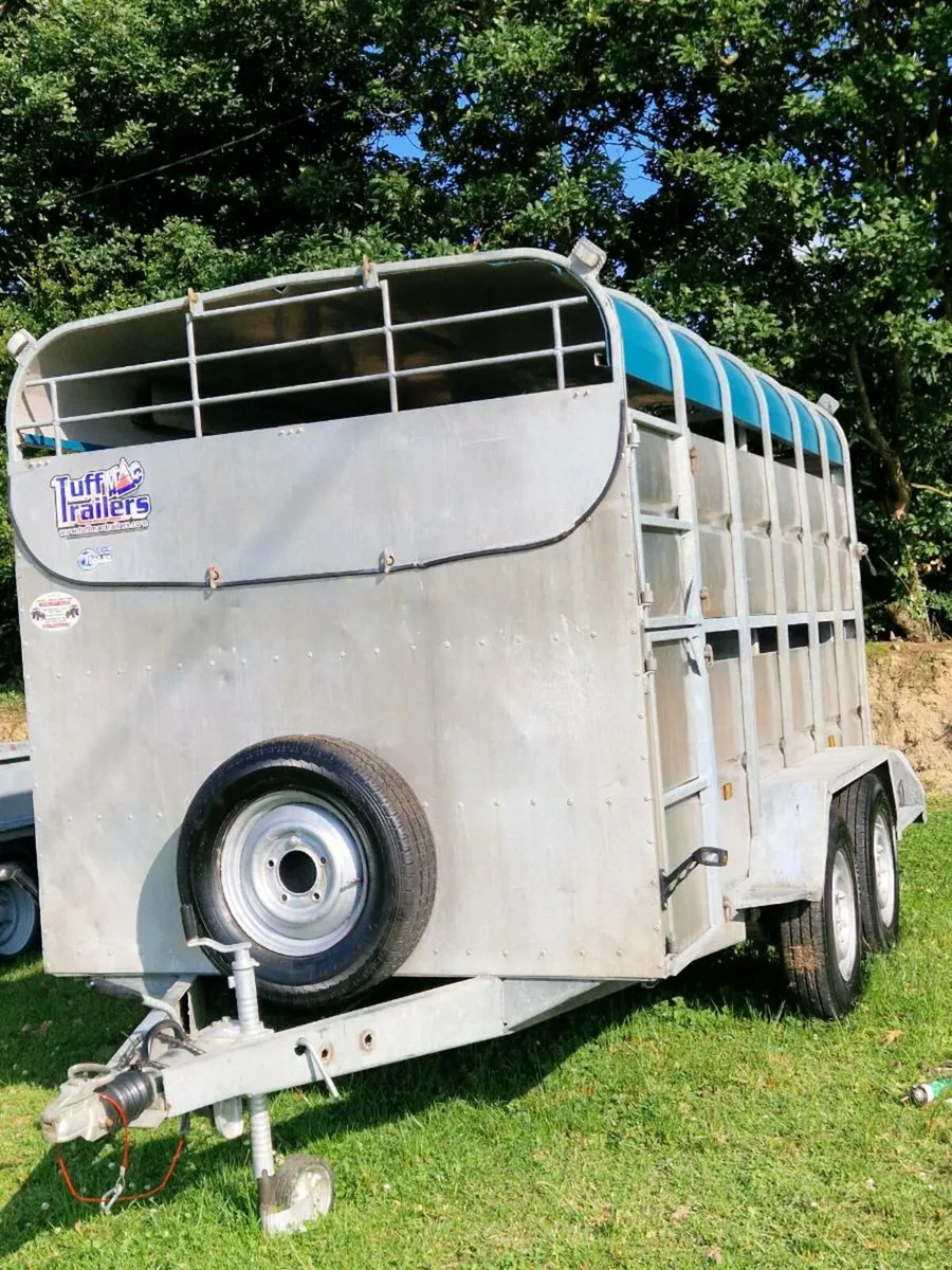 Tuffmac cattle..IforWilliams cattle trailer - Image 2