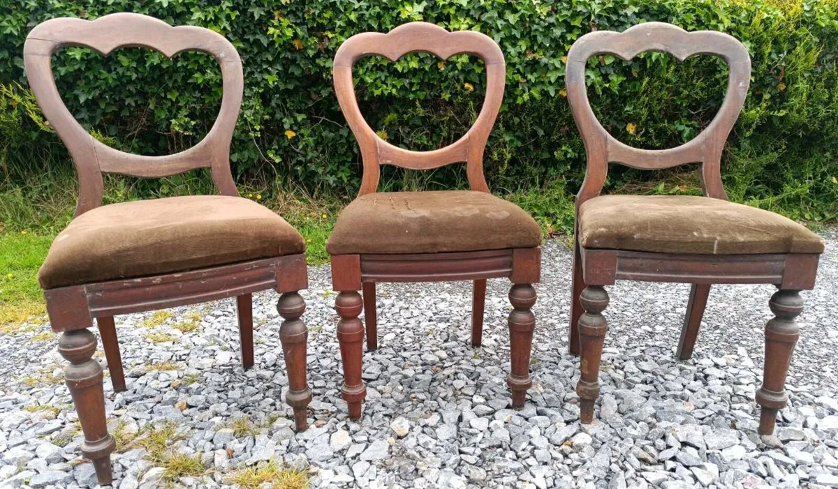 Antique Chairs X 5 - Image 3