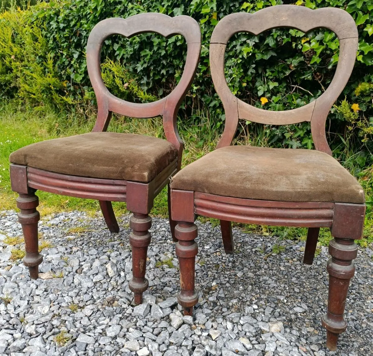 Antique Chairs X 5 - Image 4