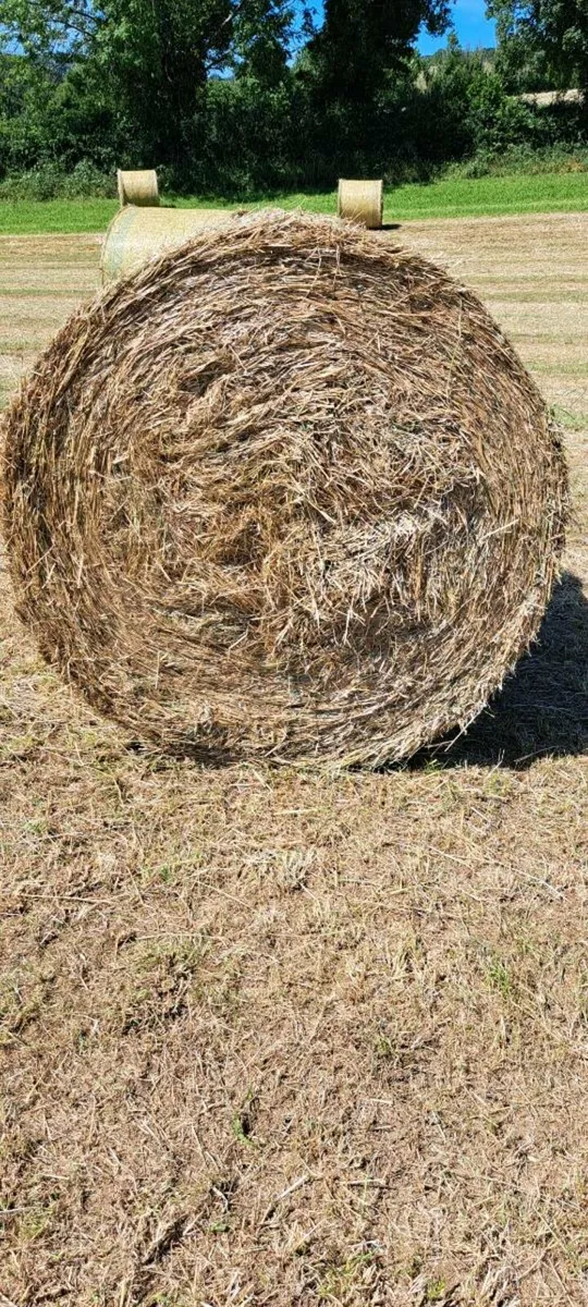 Hay 4x4 - Image 1