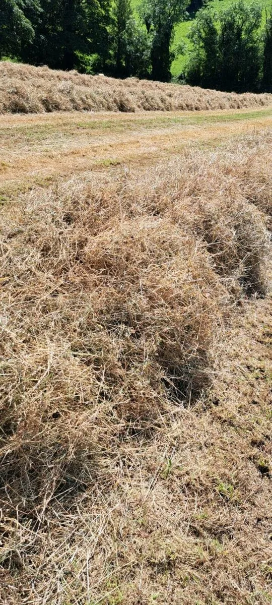 Hay 4x4 - Image 2