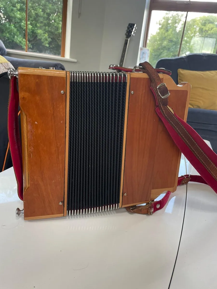 Accordion - Image 4