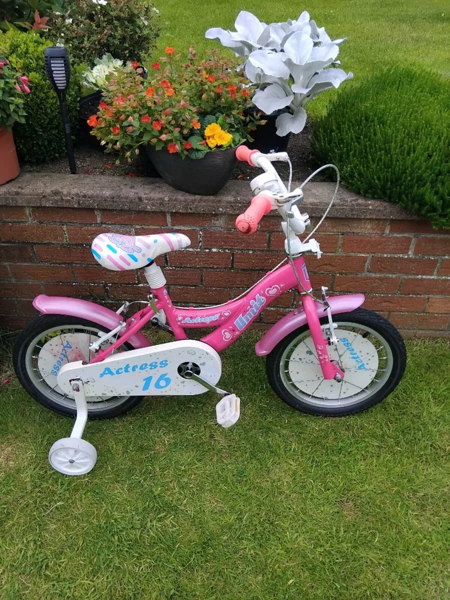 Girls Bicycle - Image 1