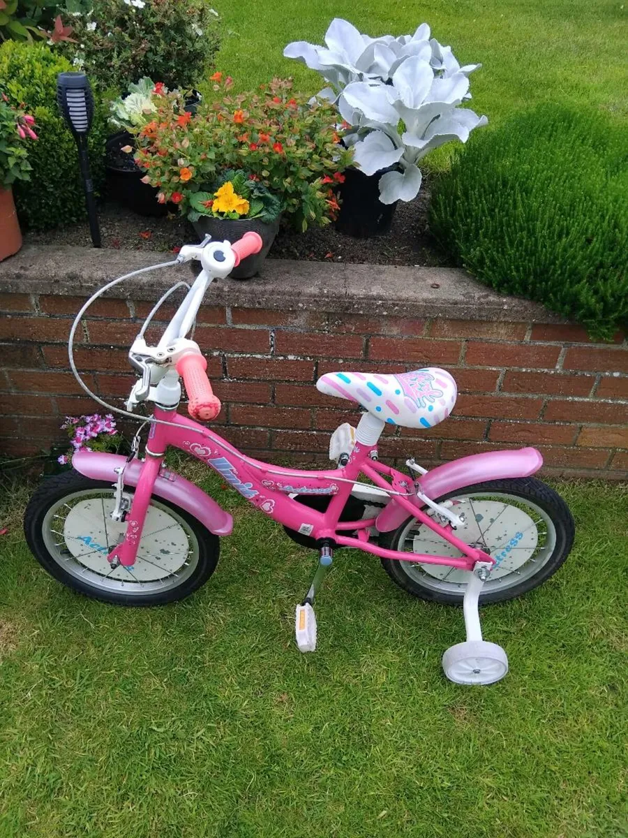Girls Bicycle - Image 2