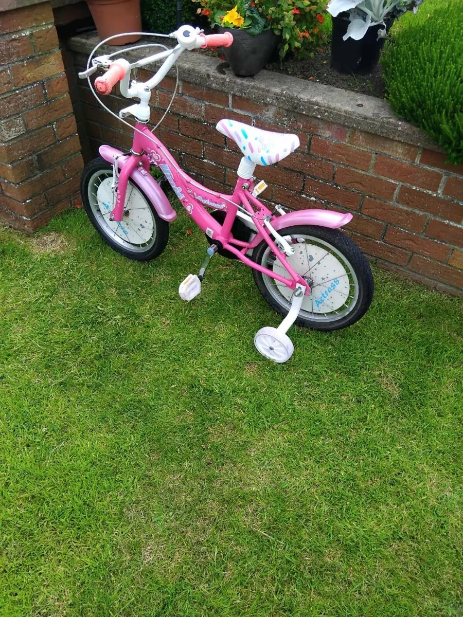 Girls Bicycle - Image 3