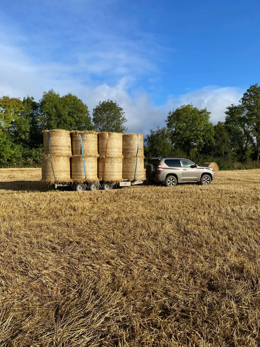 Barley straw