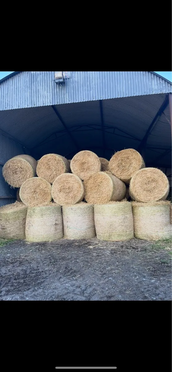 Straw - Image 3