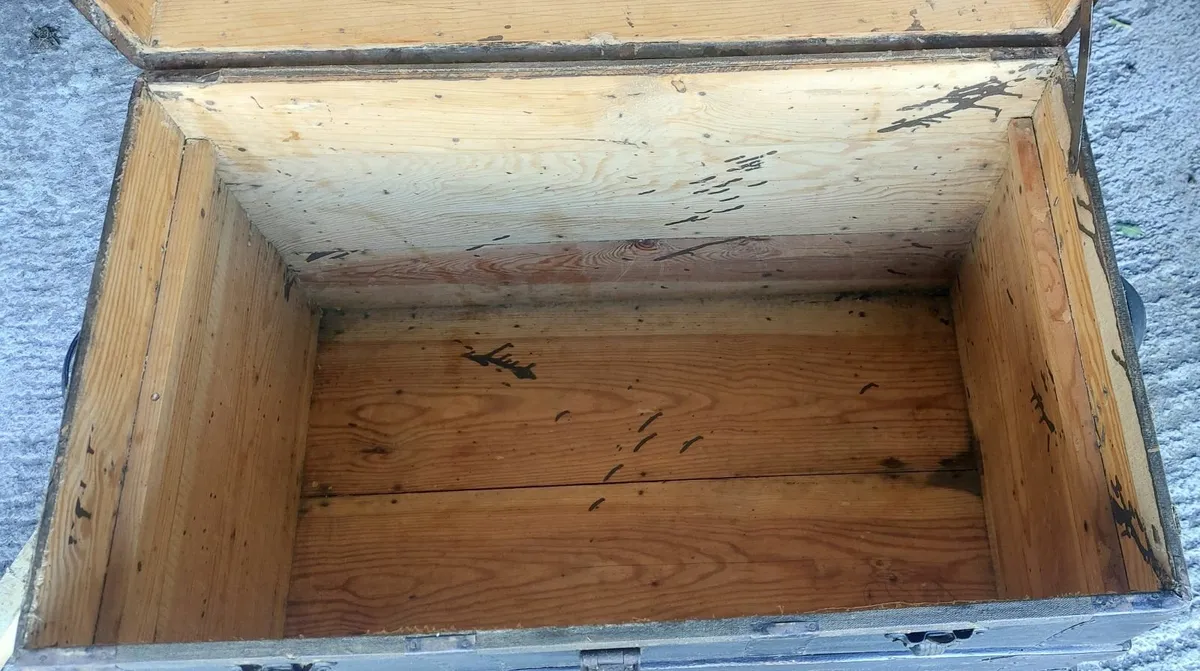 Antique steamer storage trunk - Image 3