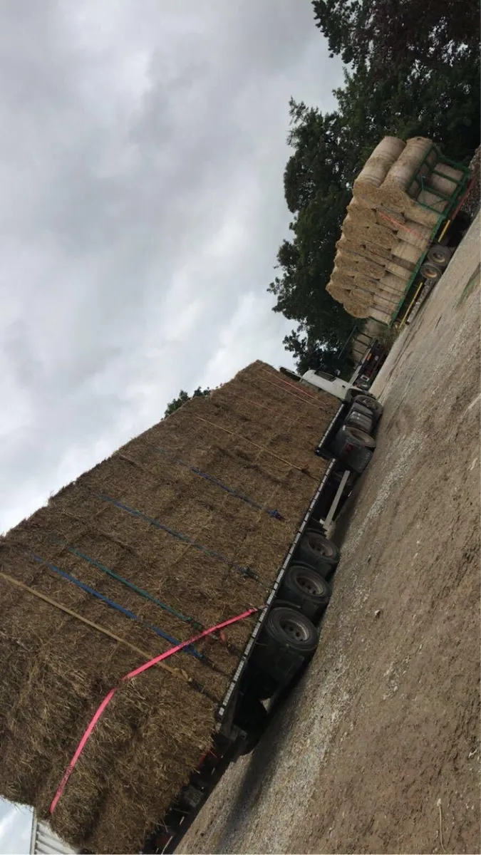 straw - Image 1