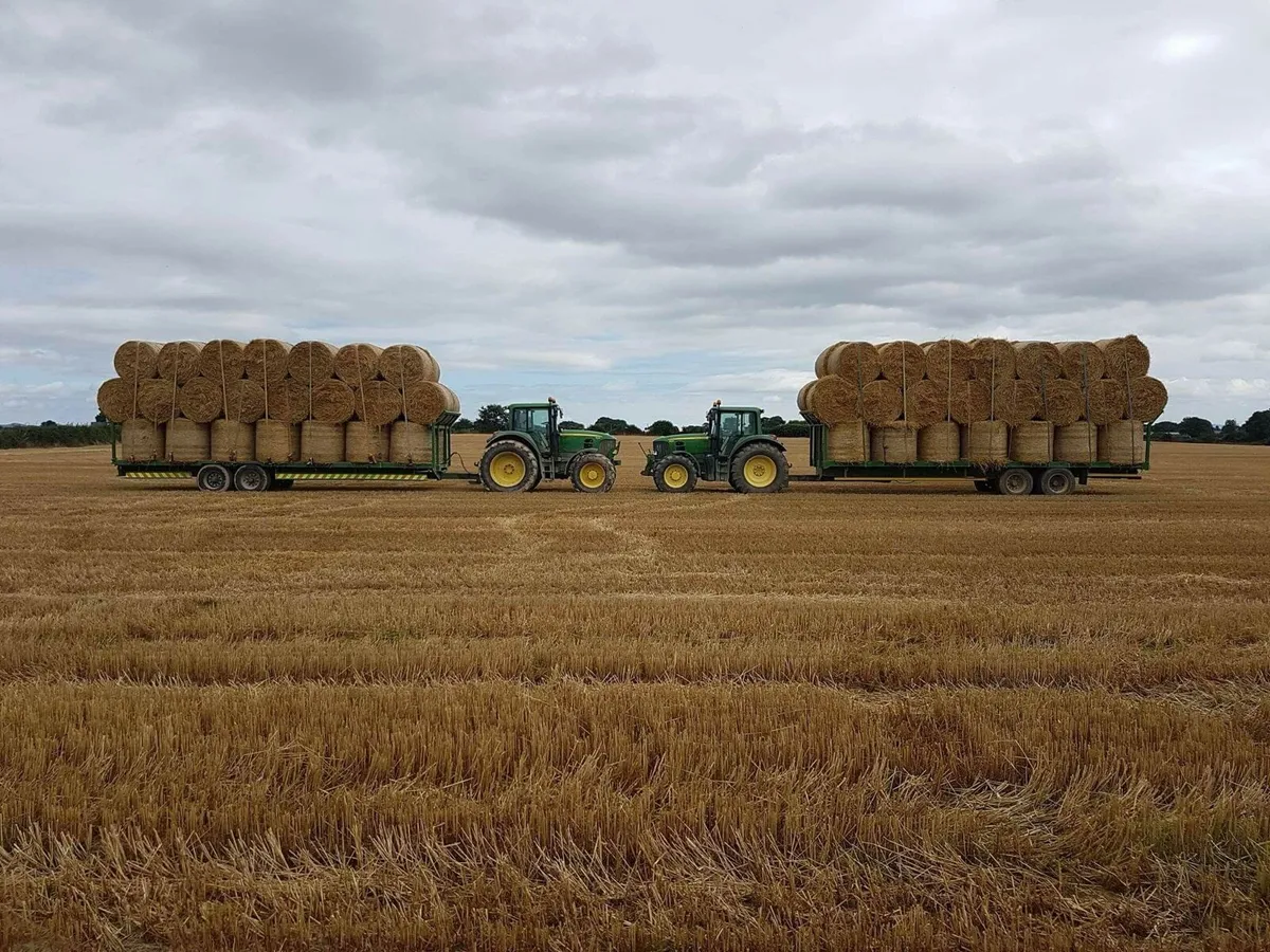 straw - Image 2