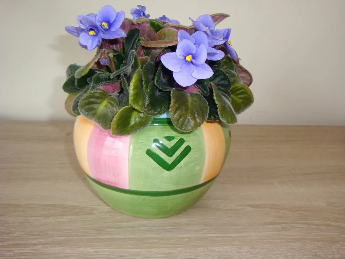 Ceramic cache flower pot dish - Image 1
