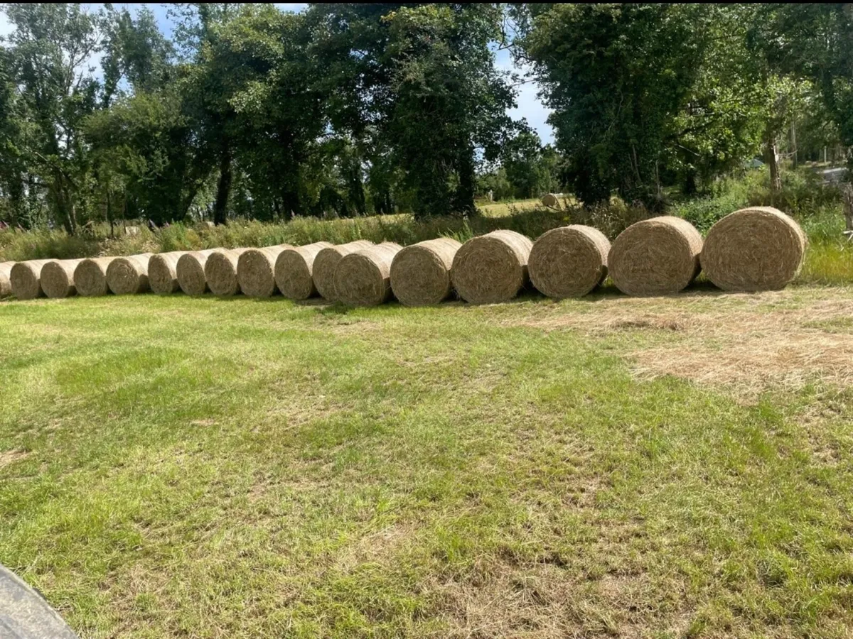 Organic Hay Bales