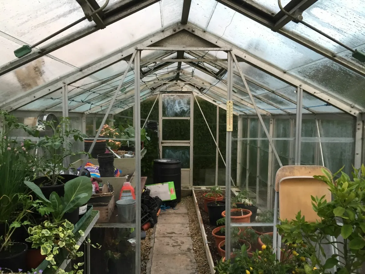 Glasshouse - Image 3
