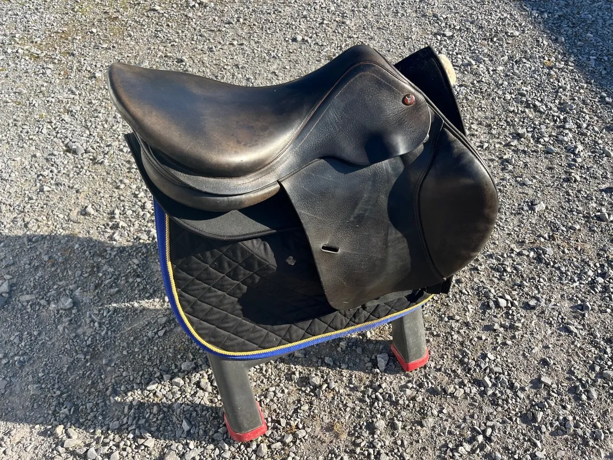Saddle in Equestrian - Image 1