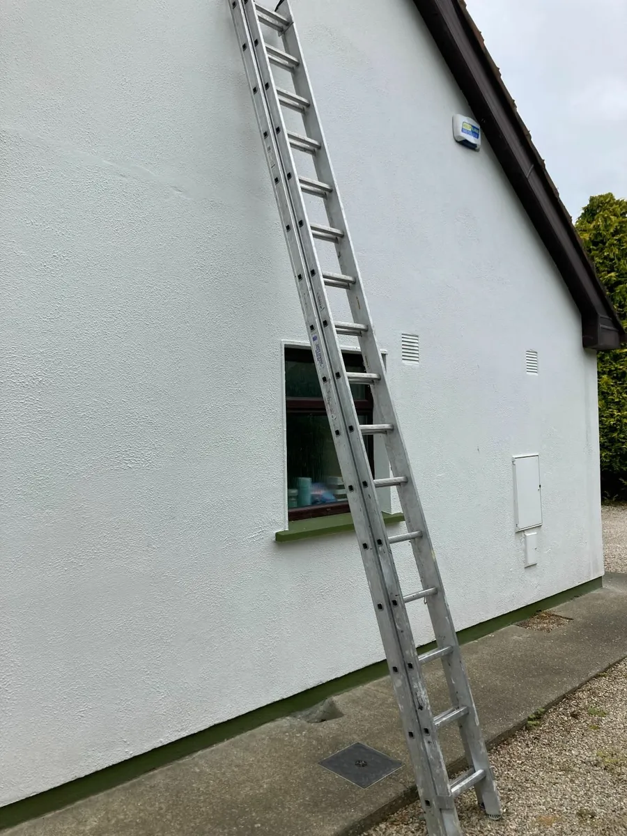 ladders - Image 3