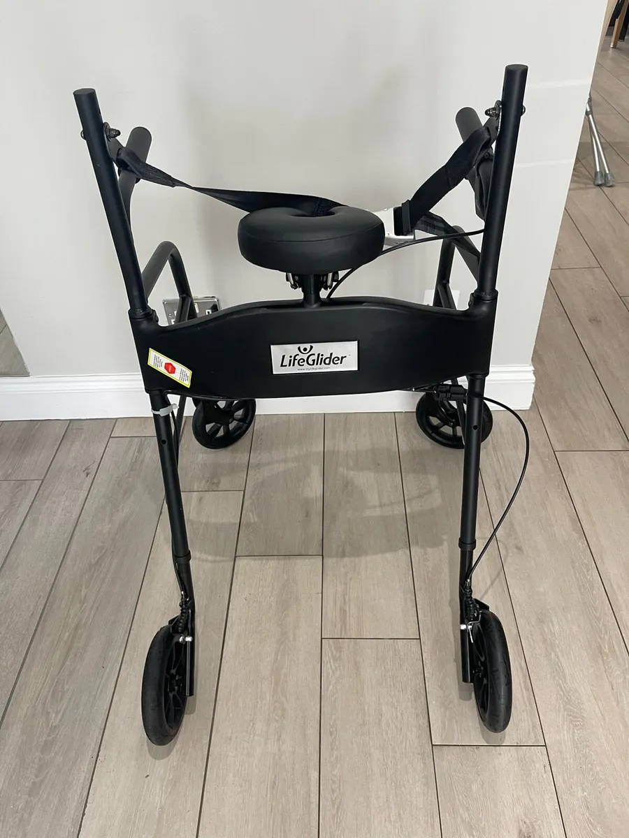 Life Glider - Image 1