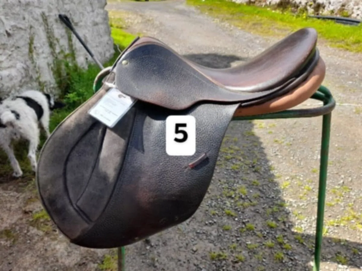 Saddles - clearance selection - Image 2