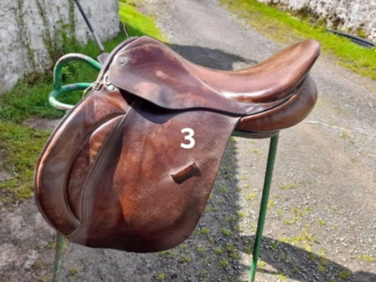 Saddles - clearance selection - Image 4