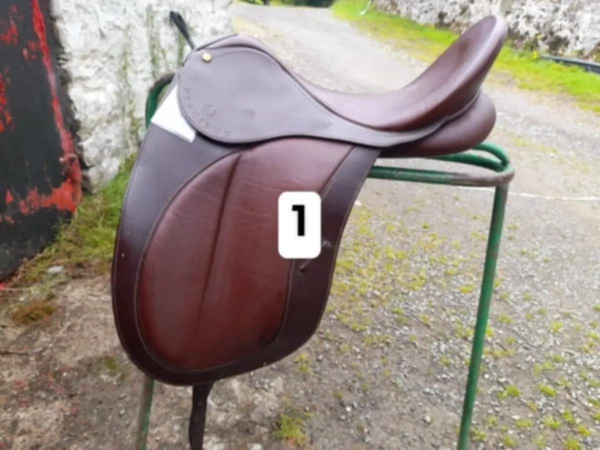 Saddles - clearance selection - Image 1