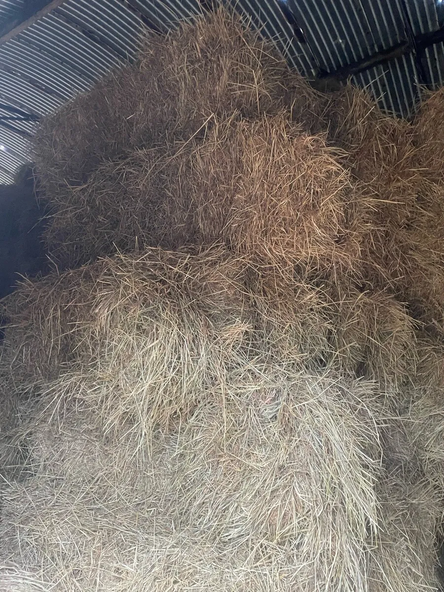 Small square hay round bale haylage - Image 2