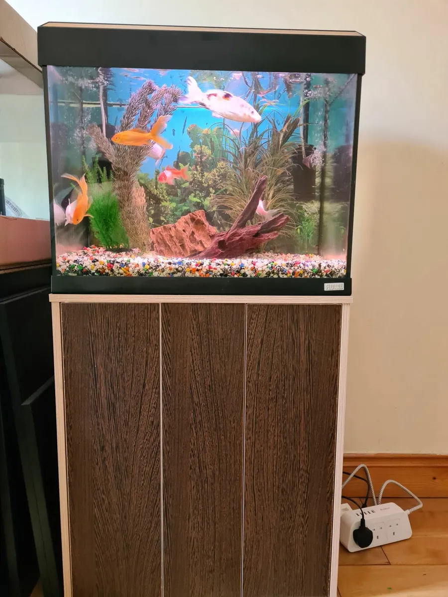 Fluval 100 l aquarium + cabinet + equipment - Image 1